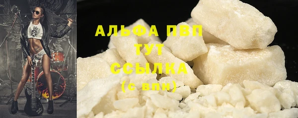 крисы Бронницы