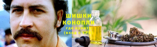 мескалин Богородицк