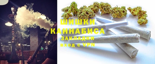 крисы Бронницы