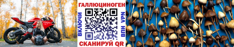 мега tor Балтийск Галлюциногенные грибы мухоморы